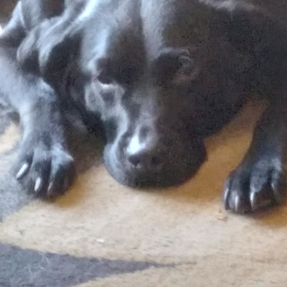 Meet your Posher, Kimberly Dawn - Picture 5 of 10